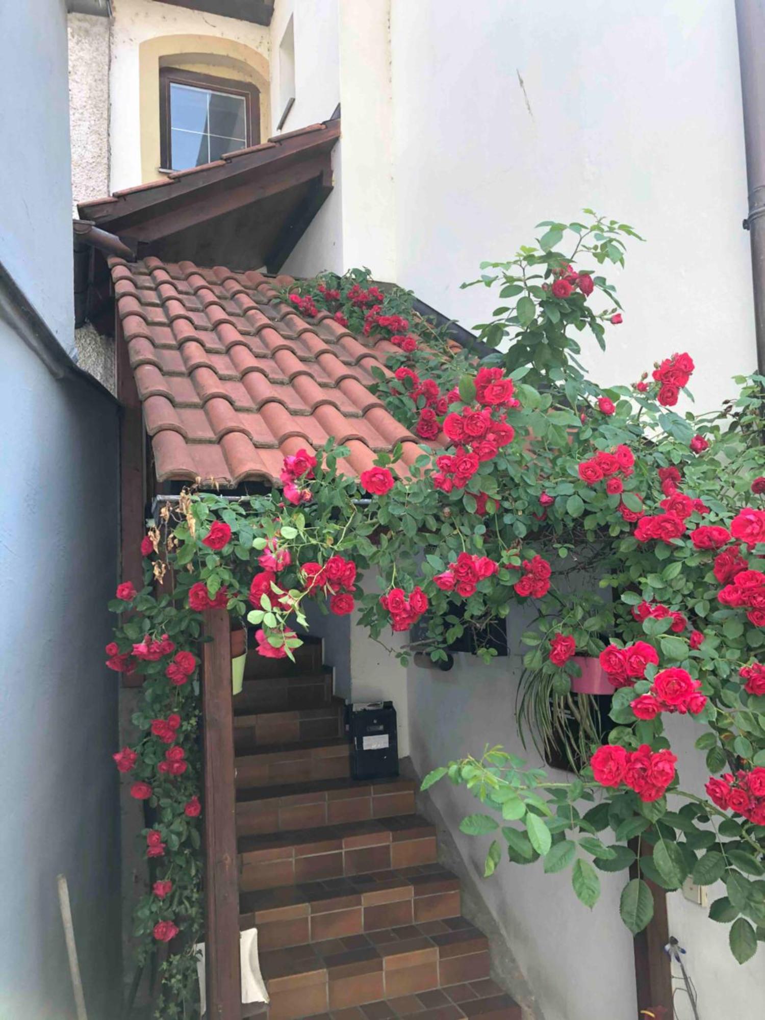 Apartment Im Rosenhof Lindau (Bodensee)